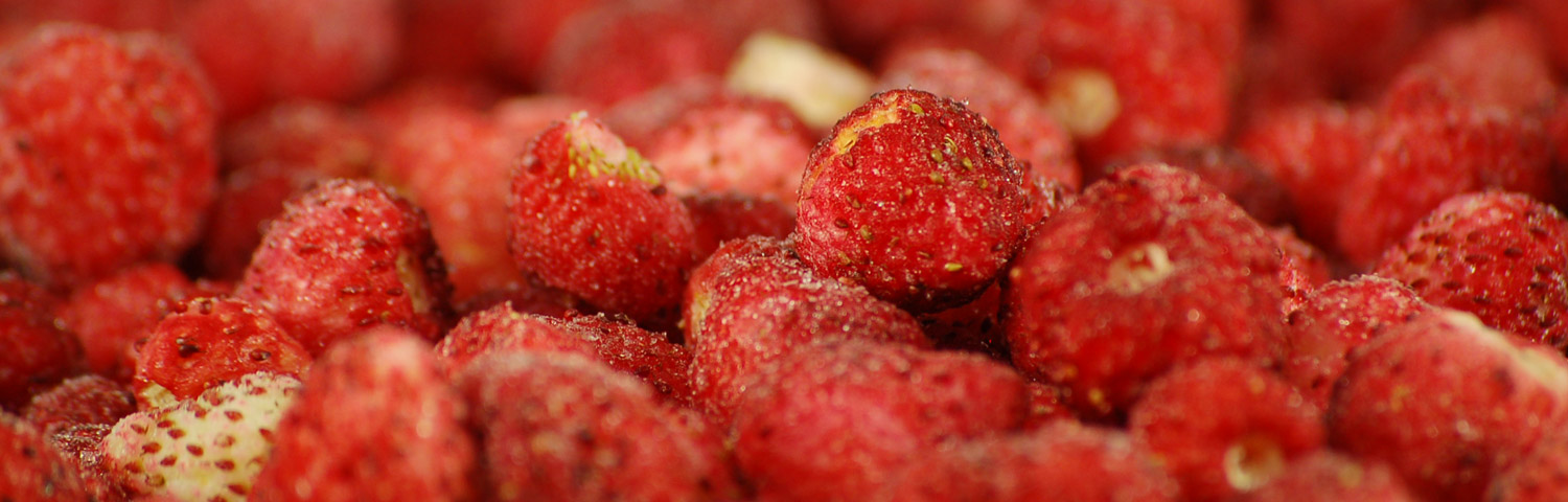 Fraise-des-bois-cultivee-surgelee